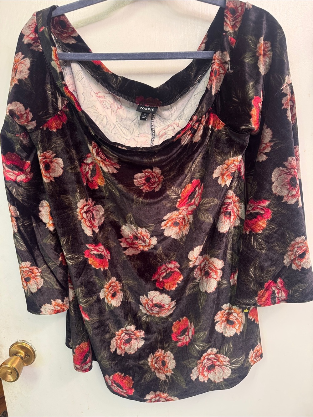 torrid Black Velvet Floral Scoop Neck Top with Red and Cream Flowers